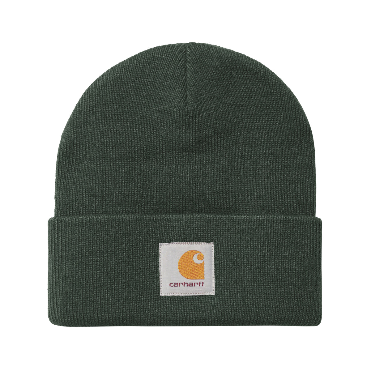 Short Watch Hat - Dark Scarab