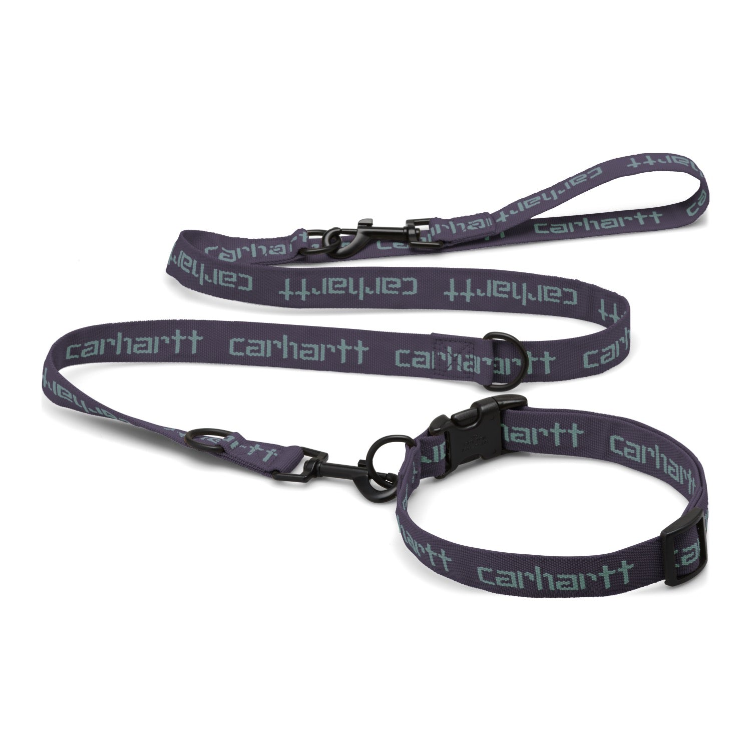 SCRIPT DOG LEASH & COLLAR - Artichoke / Misty Sage